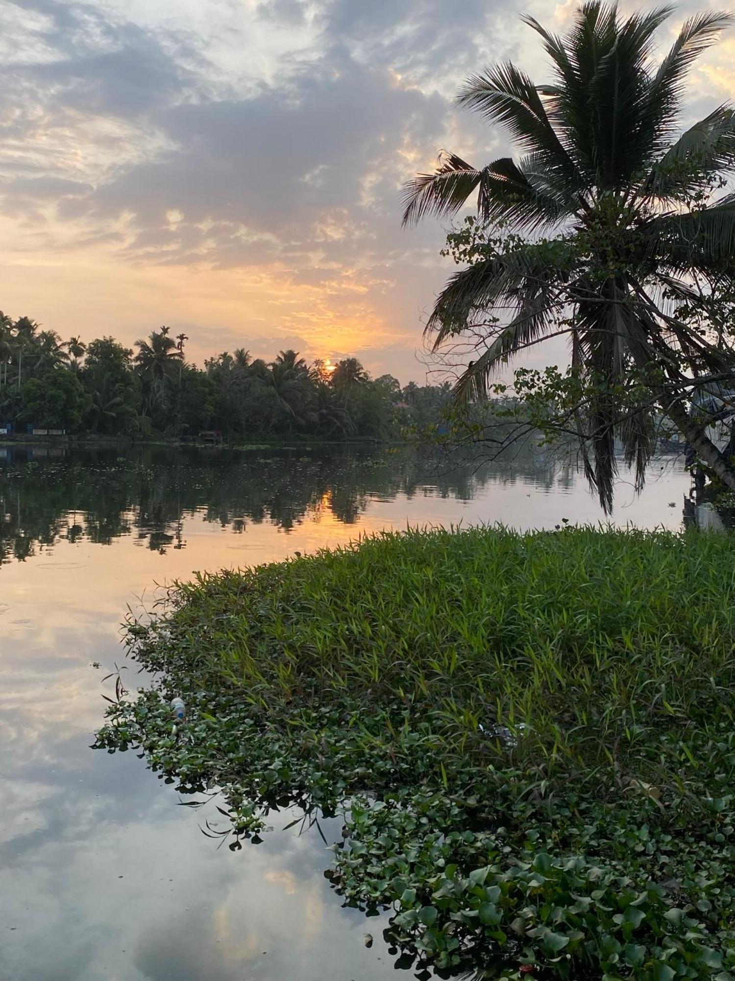 Sunsets&Palm Trees Bed and Breakfast Alappuzha Buitenkant foto